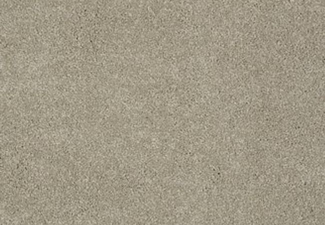 Anderson Tuftex Carpet Pawparazzi II Driftwood