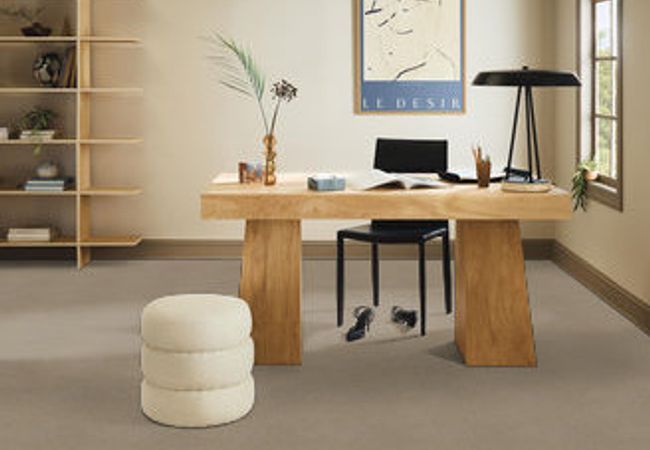 Anderson Tuftex Carpet Pawparazzi II Driftwood view 2