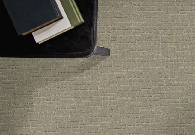 Anderson Tuftex Carpet Pawparazzi II Gray Mirage view 2