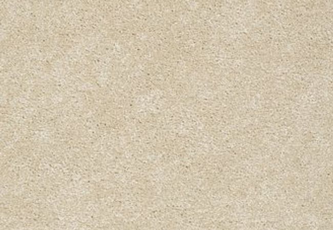 Anderson Tuftex Carpet Pawparazzi II Hazelnut