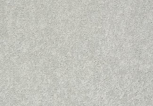 Anderson Tuftex Carpet Pawparazzi II Meditation