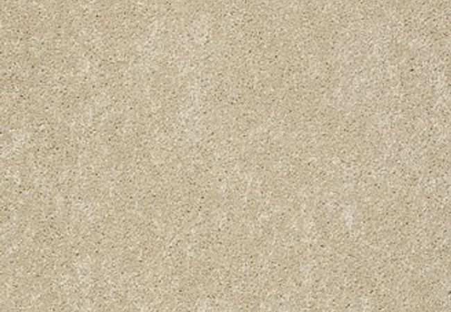 Anderson Tuftex Carpet Pawparazzi II Monterey