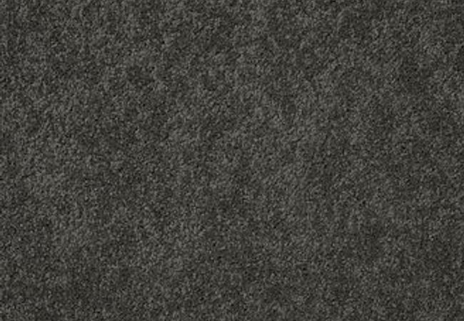 Anderson Tuftex Carpet Pawparazzi II Overcoat