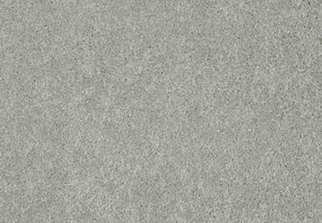 Anderson Tuftex Carpet Pawparazzi II Portland