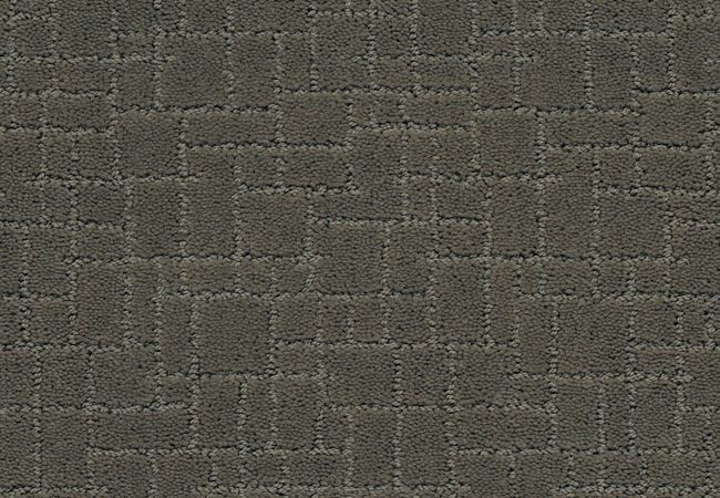 Anderson Tuftex Carpet Pawparazzi II Smoked Oyster