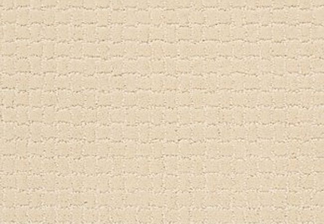 Anderson Tuftex Carpet Pawstruck Antiquity