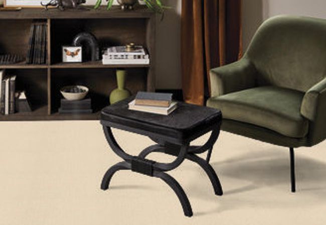 Anderson Tuftex Carpet Pawstruck Antiquity view 2