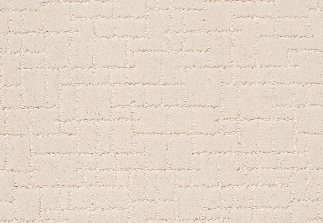 Anderson Tuftex Carpet Pawstruck Barely Beige
