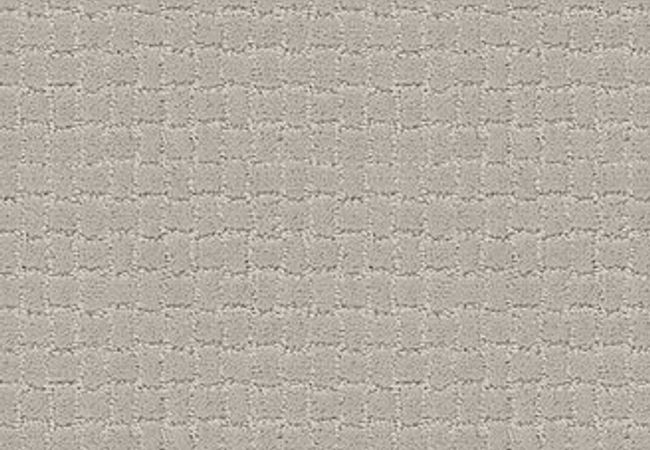 Anderson Tuftex Carpet Pawstruck Calm