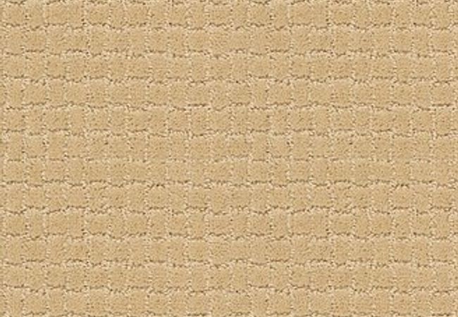 Anderson Tuftex Carpet Pawstruck Cork