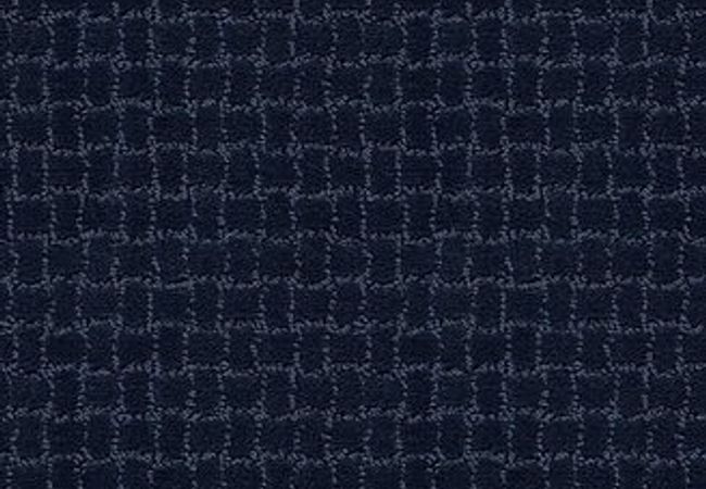 Anderson Tuftex Carpet Pawstruck Downpour