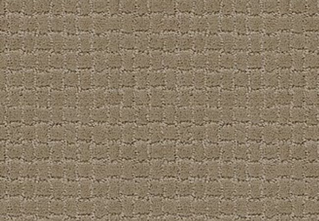 Anderson Tuftex Carpet Pawstruck Driftwood