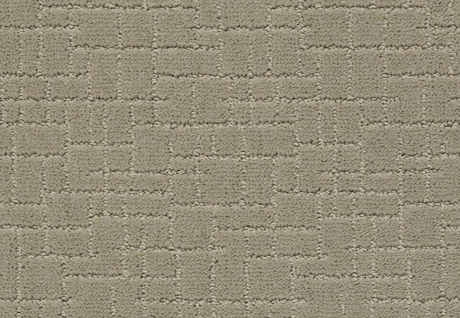 Anderson Tuftex Carpet Pawstruck Gray Mirage