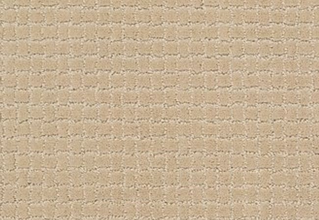 Anderson Tuftex Carpet Pawstruck Hazelnut