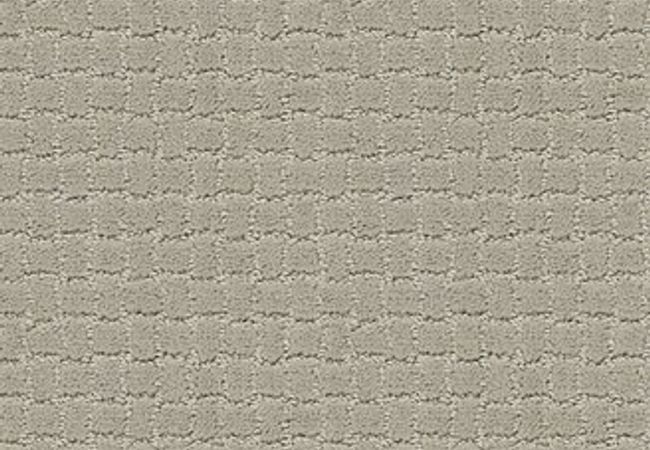 Anderson Tuftex Carpet Pawstruck Meditation