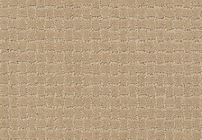 Anderson Tuftex Carpet Pawstruck Monterey