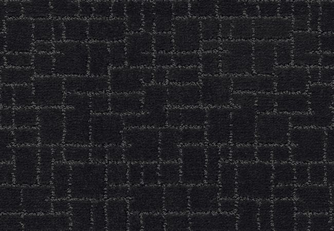 Anderson Tuftex Carpet Pawstruck Night Shade
