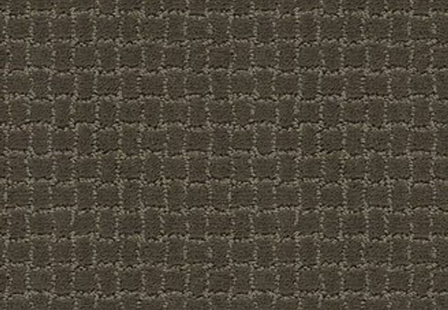 Anderson Tuftex Carpet Pawstruck Overcoat