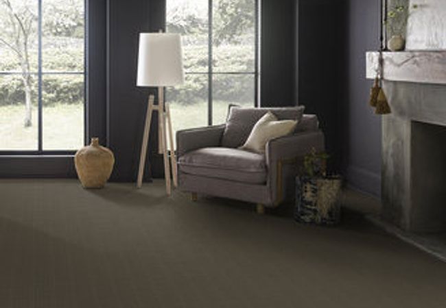 Anderson Tuftex Carpet Pawstruck Overcoat view 2