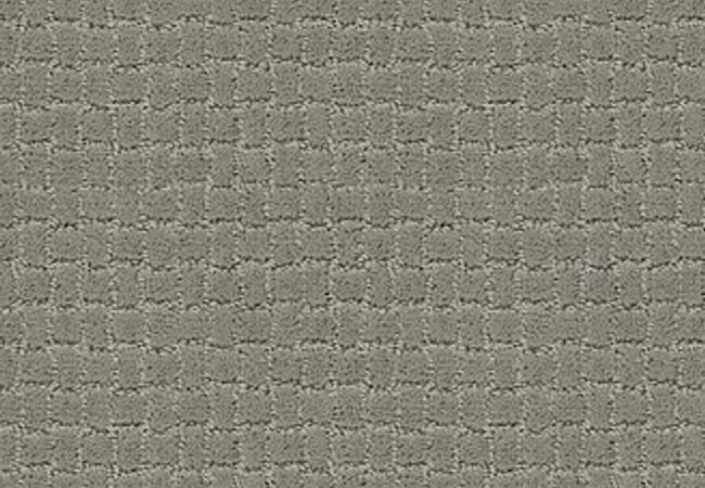 Anderson Tuftex Carpet Pawstruck Portland