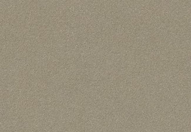 Anderson Tuftex Carpet Perfect Choice Elephant Ear