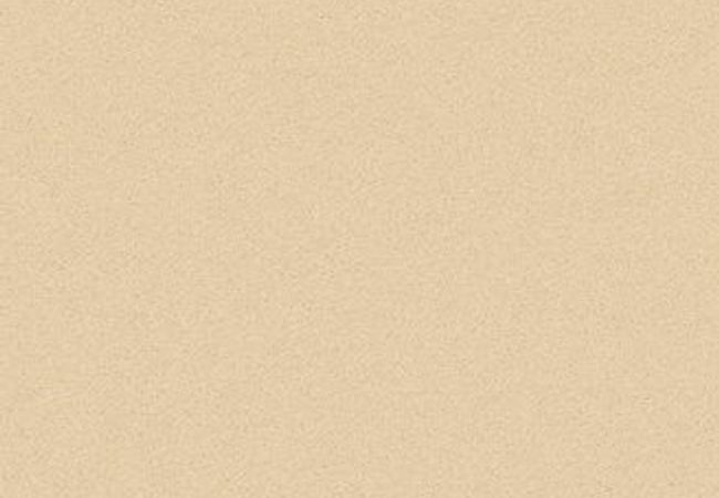 Anderson Tuftex Carpet Perfect Choice Golden
