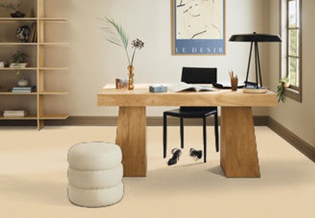 Anderson Tuftex Carpet Perfect Choice Golden view 2
