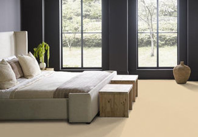 Anderson Tuftex Carpet Perfect Choice Golden view 3