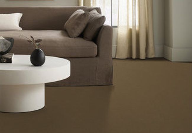 Anderson Tuftex Carpet Perfect Choice Hearth view 2