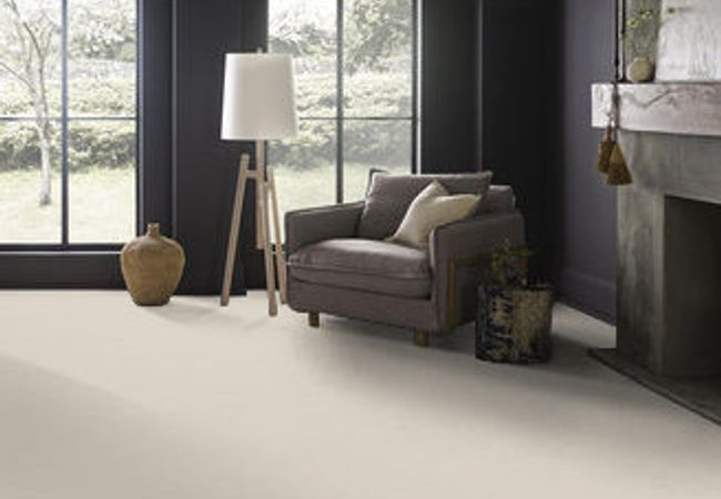 Anderson Tuftex Carpet Perfect Choice October Mist view 2