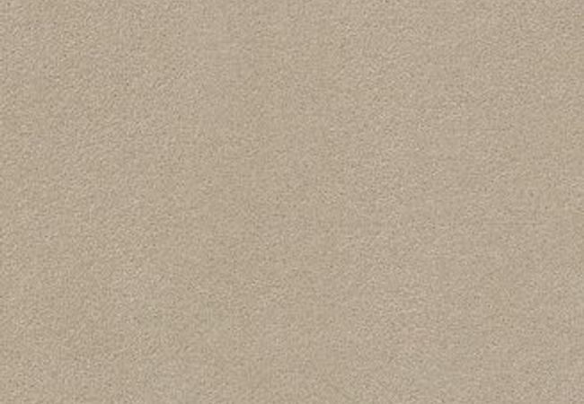 Anderson Tuftex Carpet Perfect Choice Pashmina