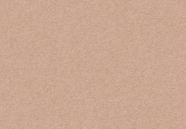 Anderson Tuftex Carpet Perfect Choice Rose Cider