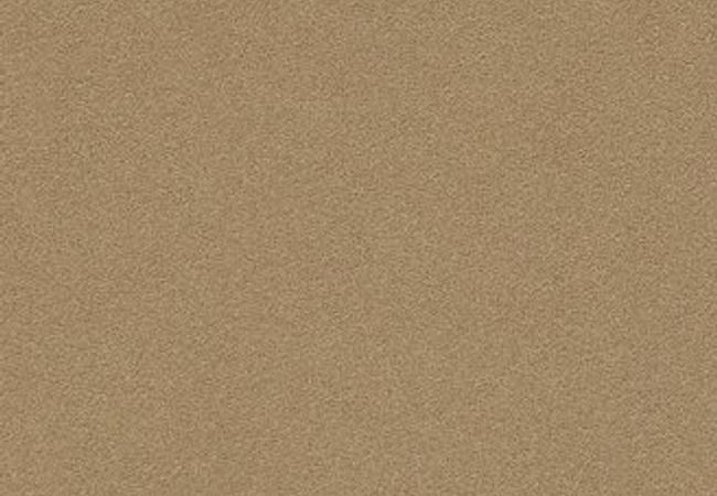 Anderson Tuftex Carpet Perfect Choice Scenery