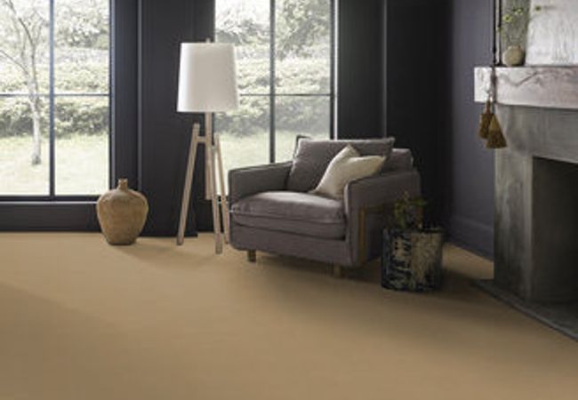 Anderson Tuftex Carpet Perfect Choice Scenery view 2