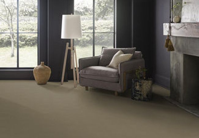 Anderson Tuftex Carpet Perfect Choice Sleek Suede view 2