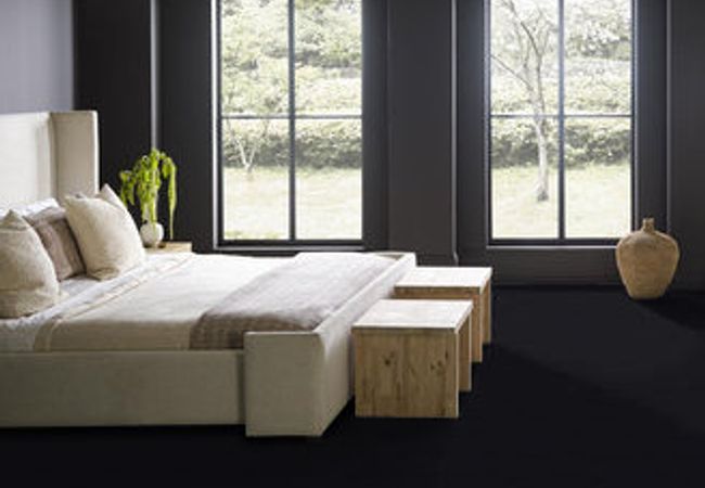 Anderson Tuftex Carpet Perfect Choice Tuxedo view 3