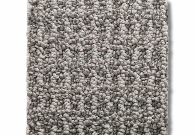 Anderson Tuftex Carpet Portofino London Fog