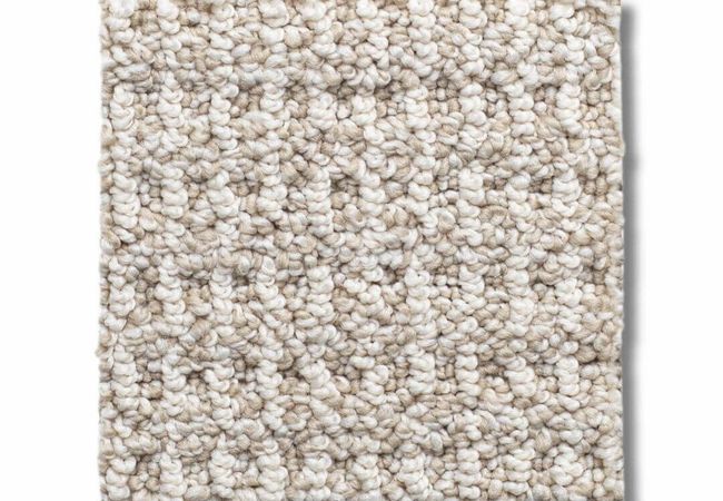 Anderson Tuftex Carpet Portofino Muslin