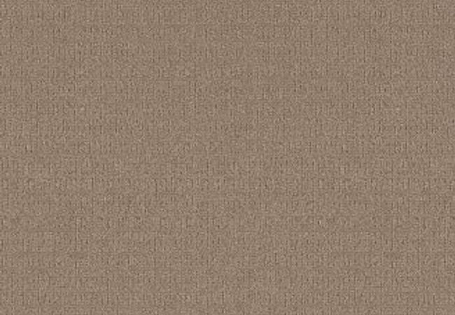 Anderson Tuftex Carpet Portofino Oxford Tan