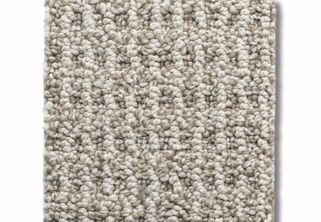 Anderson Tuftex Carpet Portofino Oyster