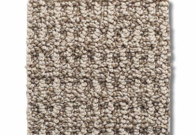 Anderson Tuftex Carpet Portofino Plaza Taupe