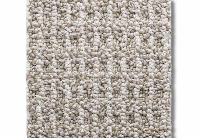 Anderson Tuftex Carpet Portofino Porous Stone