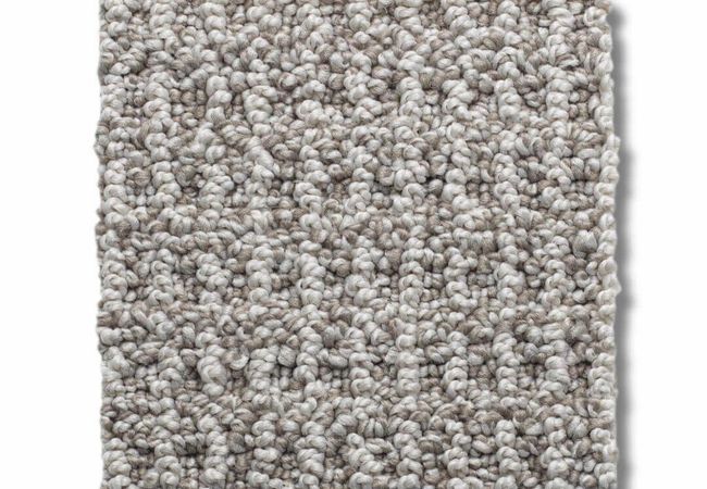 Anderson Tuftex Carpet Portofino Pumice