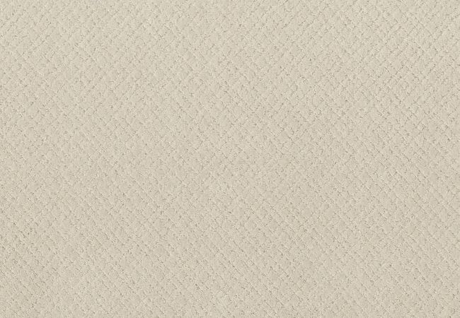Anderson Tuftex Carpet Pose Almond Milk