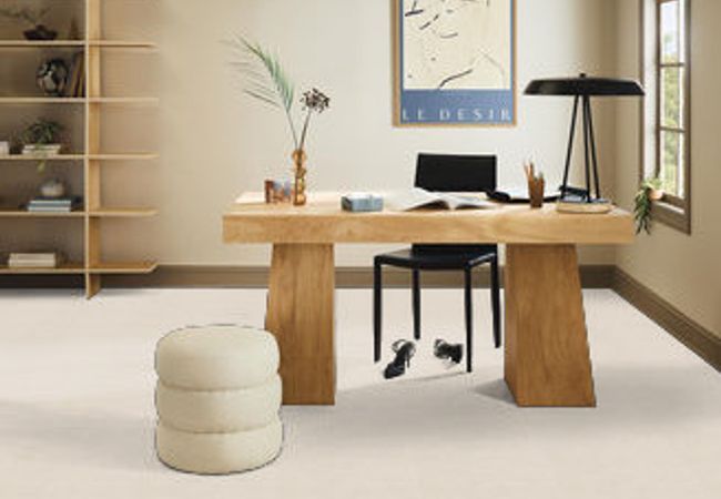 Anderson Tuftex Carpet Pose Aria view 2