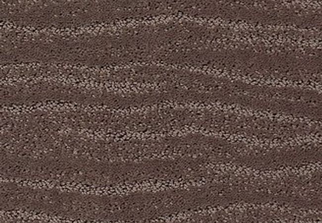 Anderson Tuftex Carpet Pose Chantrelle