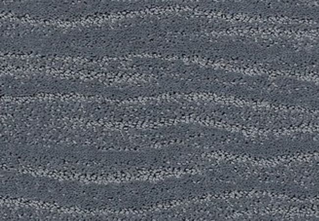 Anderson Tuftex Carpet Pose Comet