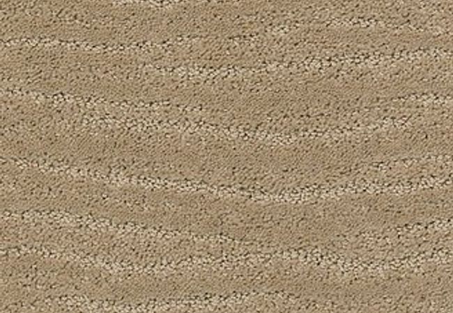 Anderson Tuftex Carpet Pose Coronado