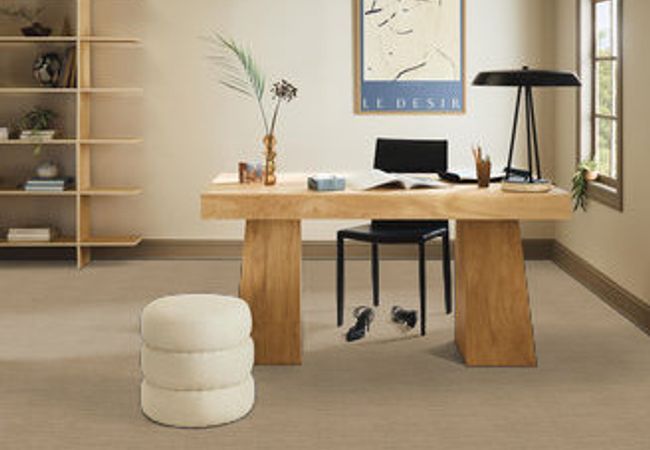 Anderson Tuftex Carpet Pose Coronado view 2