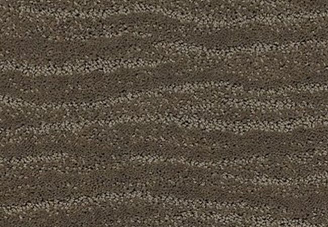 Anderson Tuftex Carpet Pose Dash